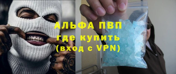 гидра Белокуриха