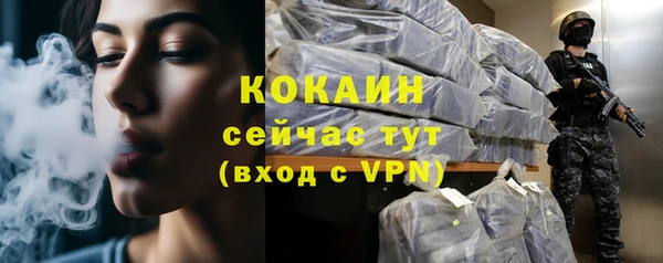 гидра Белокуриха