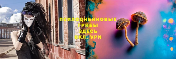 гидра Белокуриха