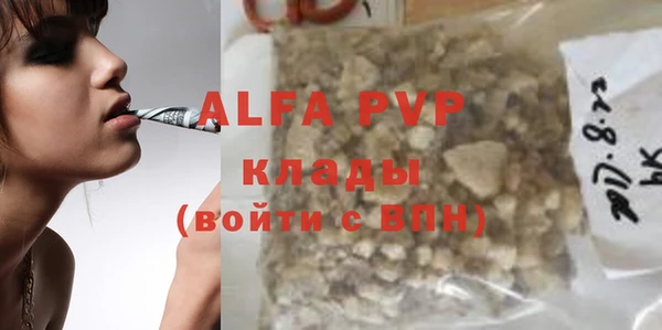 гидра Белокуриха